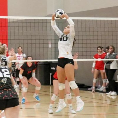 Reagan Drescher Profile