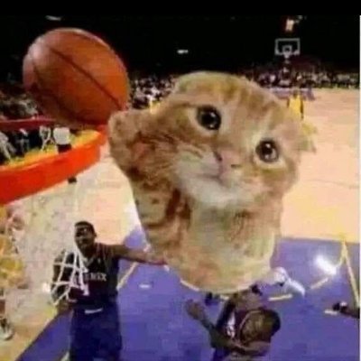 0xpsiphi's profile picture. 