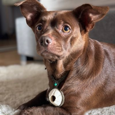 surenland's profile picture. 