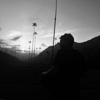 José Ribón (@joseribon) 's Twitter Profile