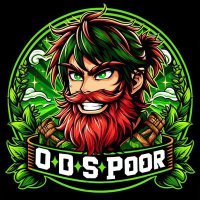 Mitchell Tremblay (@odspoor) 's Twitter Profile Photo Mitchell Tremblay (@odspoor) 's Twitter Profile Photo