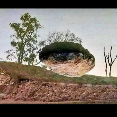 jharana8662's profile picture. 