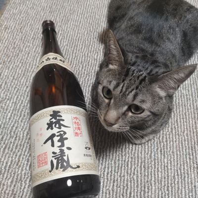 立ち飲み屋大好きです。