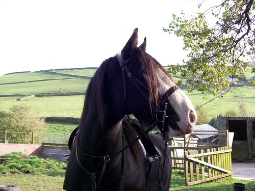 Beautiful items for home, nursery & pets. inspired by animals,nature & farm life. Printed by hand in the heart of yorkshire. see  http://t.co/hLM1auxBFM