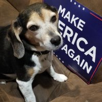 CJ (@cjinusa) 's Twitter Profile Photo