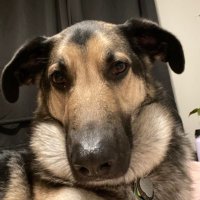 Paige (@paigeybelll) 's Twitter Profile