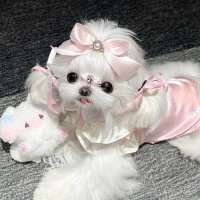 Caroline (@willmcmasters) 's Twitter Profile