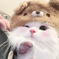 Vivian💋 (@marisamarlette7) 's Twitter Profile