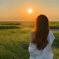Nora (@beachbanch) 's Twitter Profile