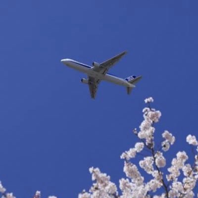 SKY_ANA_DIA's profile picture. こんにちは✈️2018-22PLT 2024悲願のDIA💎 旅行好きです🧳よろしくお願いします🙇‍♂️
