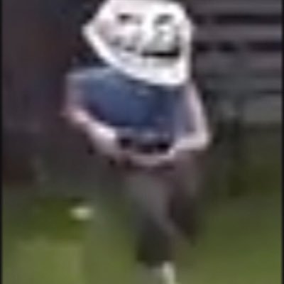 haroldhotline's profile picture. Postings random crap