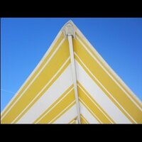 sharon catalano (@moma_shar) 's Twitter Profile