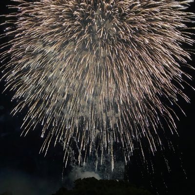 L9rHuAXZASYS2lW's profile picture. 10.23