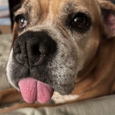 robine2468's profile picture. Witness Protection