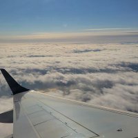 koku【5910】tou (@pocket_smgo20) Twitter profile photo