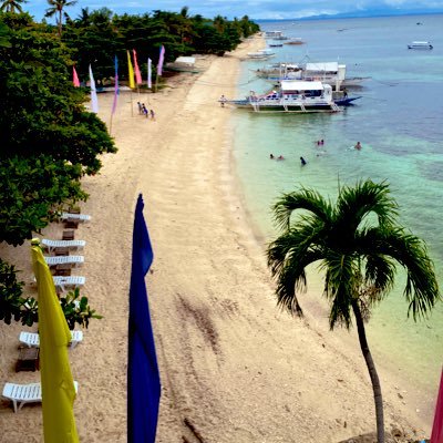 pVe12xdBRDFYNs1's profile picture. 