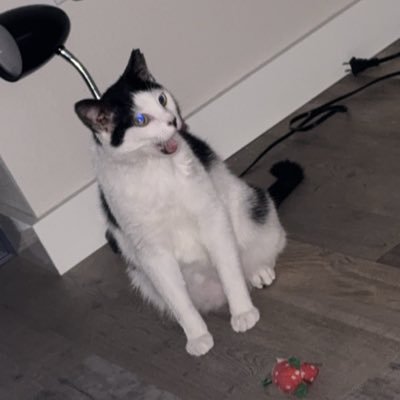 MlNCKS's profile picture. 