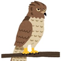 たか🦅プロカご確認ください (@otorihikiremon) 's Twitter Profile Photo たか🦅プロカご確認ください (@otorihikiremon) 's Twitter Profile Photo