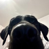 Deacon Eddie White (@deacon_eddiew) 's Twitter Profile