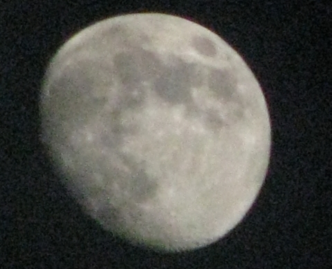 rekin_m's profile picture. Канал блога MR Блог (http://t.co/UqGIoVnlK4)
#ru_ff