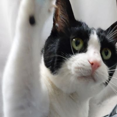 xsuanx's profile picture. 