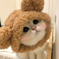 𓆸 wiwi | fb yaa (@rusmtic) 's Twitter Profile