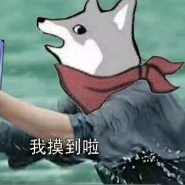 haiwe77's profile picture. 