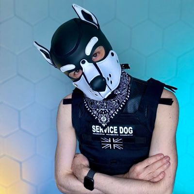 GimpyPup's profile picture. No longer active on X 🦋: GimpyPup@bsky.social