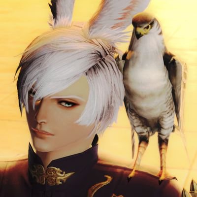 '24年2月にFF14復帰。記憶がリセットされたので新規キャラで遊んでます。現在は漆黒突入。うさお沼とグルポ沼に沈む日々。グルポ好き。光の戦士の皆様でしたら無言フォロー大歓迎☺️無言フォロー失礼致します。© SQUARE ENIX