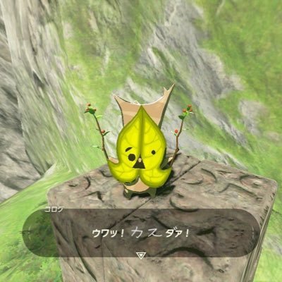 koro_good's profile picture.