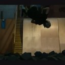 greg selby - @greg_selby - Twitter