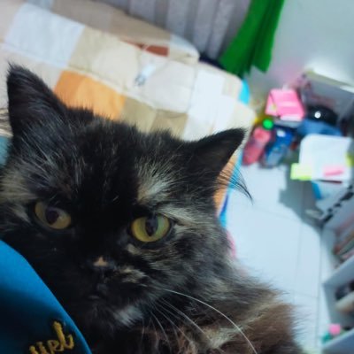 afifaaaaaahhhhh's profile picture. 