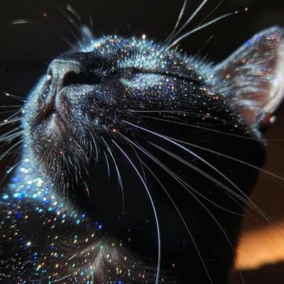 jjmonsalvey's profile picture. Learning, investing and promoting the mass adoption of cryptocurrencies 🙌🏻. Believer in the power of decentralization and financial inclusion.