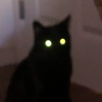 ☾ 𝕐 🌙 (@cyderverse) 's Twitter Profile Photo ☾ 𝕐 🌙 (@cyderverse) 's Twitter Profile Photo