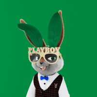 CryptoBOKI(@Dr_beeking) 's Twitter Profile Photo