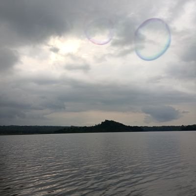 nindalina11's profile picture. I will survive!!!