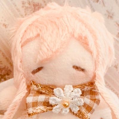 @kirayuki_riumu のぬい撮り垢です！本垢には投稿しなかったぬいちゃんたちの日常をいっぱい紹介します～#うちのことおくるふわふわらいふ