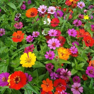 SoniaJeann85758's profile picture. 