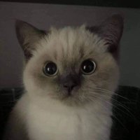 First Last π (@firstlast201766) 's Twitter Profile