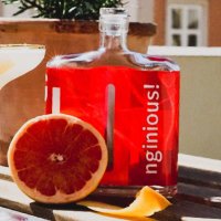 nginious! Gin (@nginious) 's Twitter Profile