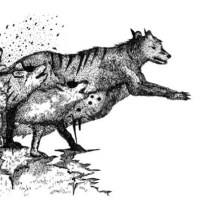 whisky_laszlo's profile picture. スキアラバサケとキャンプ