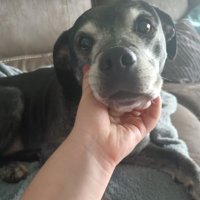 Hannah Gallimore (@hangallimore) 's Twitter Profile Photo