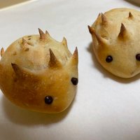 seadragon765 (@seadragon734128) 's Twitter Profile