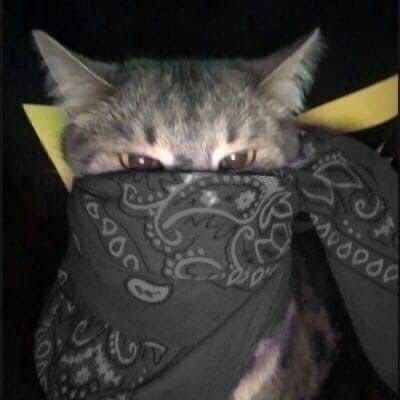 Twitterın en ilham veren kedysi ✨️
@pisipisiiiniz astroloji sayfam✨️
Terazi denilince akla gelen ilk hesap💅😻