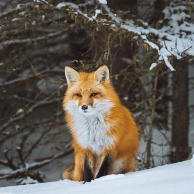 링턴さんのプロフィール画像
