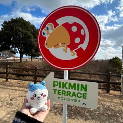 ◇ お取引メイン◇ 30↑低浮上ですがDM、リプライにはすぐ反応するようにしております(仕事の都合で遅くなる場合もありますのでご了承ください)