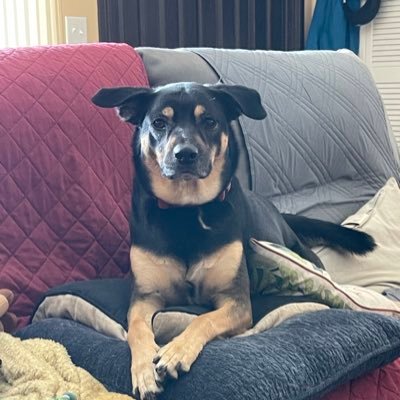 rcleejr2323's profile picture. Observations from an average guy.