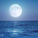 Mar1995250's profile picture. Live and let live