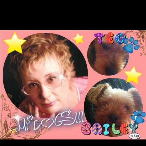 pautebail's profile picture. back on Twitter. 
retired nurse
carer to son
charity. Dorset Blind Association.