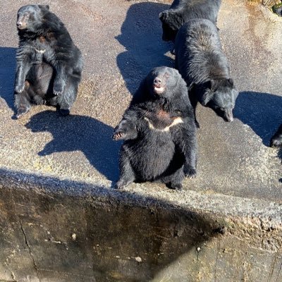 sssshhhhwwtt's profile picture. 